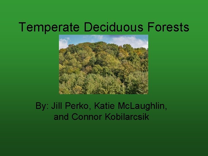 Temperate Deciduous Forests By: Jill Perko, Katie Mc. Laughlin, and Connor Kobilarcsik 