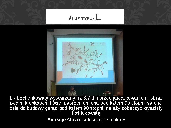 ŚLUZ TYPU: L L - bochenkowaty wytwarzany na 6, 7 dni przed jajeczkowaniem, obraz ŚLUZ TYPU: L L - bochenkowaty wytwarzany na 6, 7 dni przed jajeczkowaniem, obraz