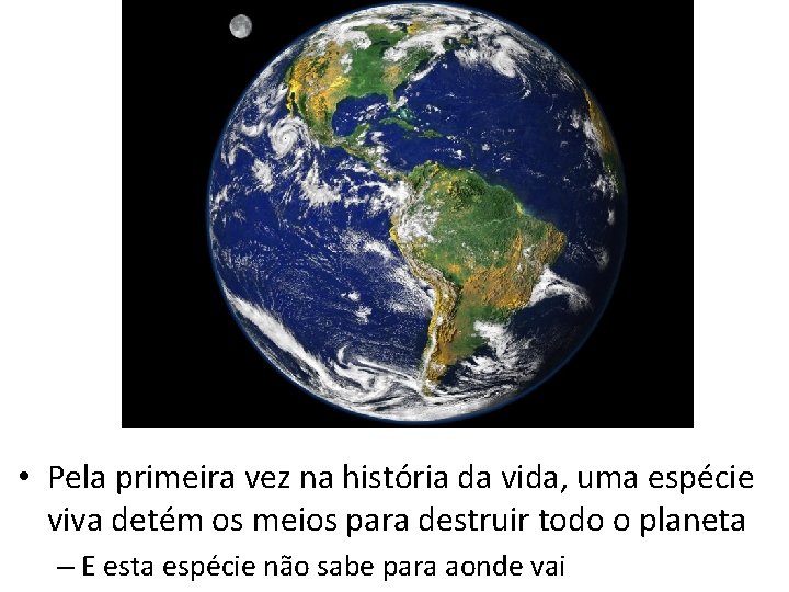  • Pela primeira vez na história da vida, uma espécie viva detém os