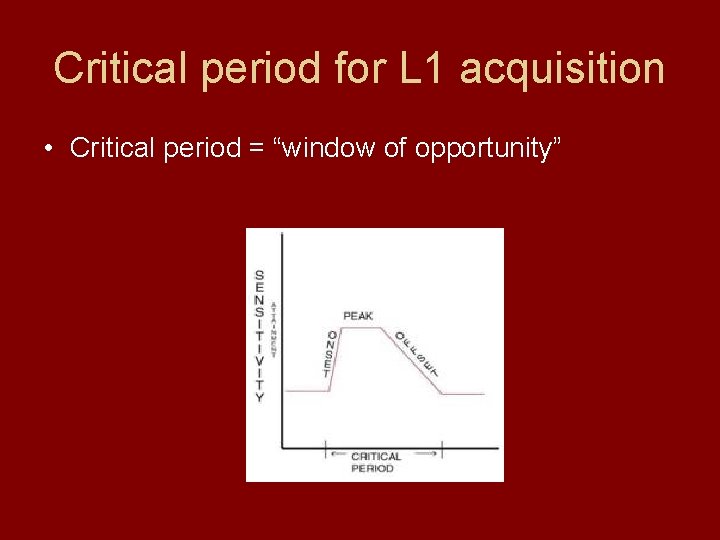 Critical period for L 1 acquisition • Critical period = “window of opportunity” 