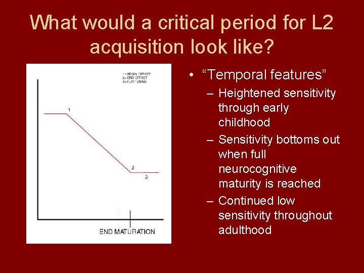 What would a critical period for L 2 acquisition look like? • “Temporal features”