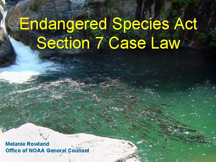 Reasonable and Prudent Alternatives Endangered Species Act Section 7 Case Law Ø By statute