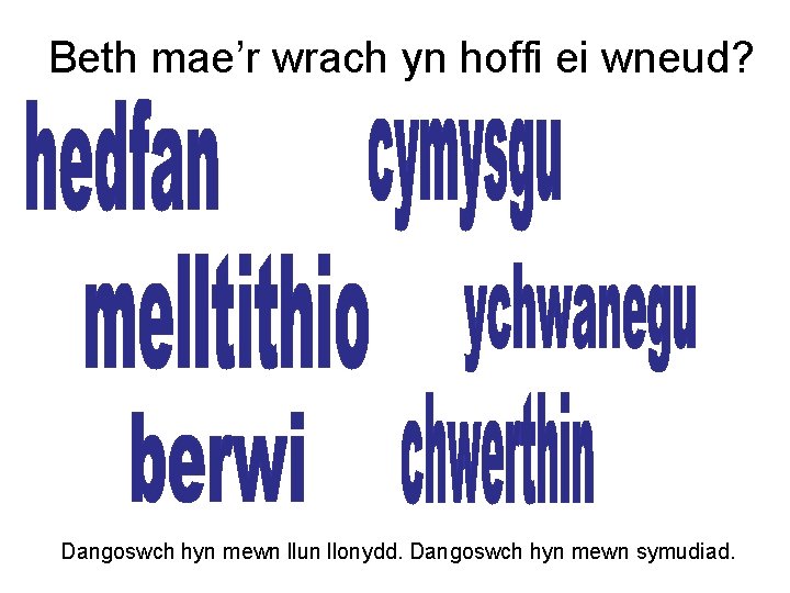 Beth mae’r wrach yn hoffi ei wneud? Dangoswch hyn mewn llun llonydd. Dangoswch hyn