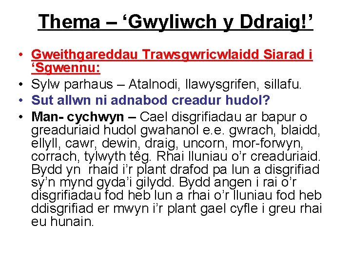 Thema – ‘Gwyliwch y Ddraig!’ • Gweithgareddau Trawsgwricwlaidd Siarad i ‘Sgwennu: • Sylw parhaus