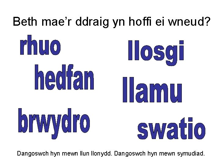 Beth mae’r ddraig yn hoffi ei wneud? Dangoswch hyn mewn llun llonydd. Dangoswch hyn