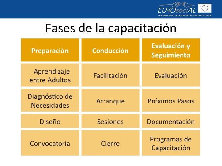 Fases de la capacitación 