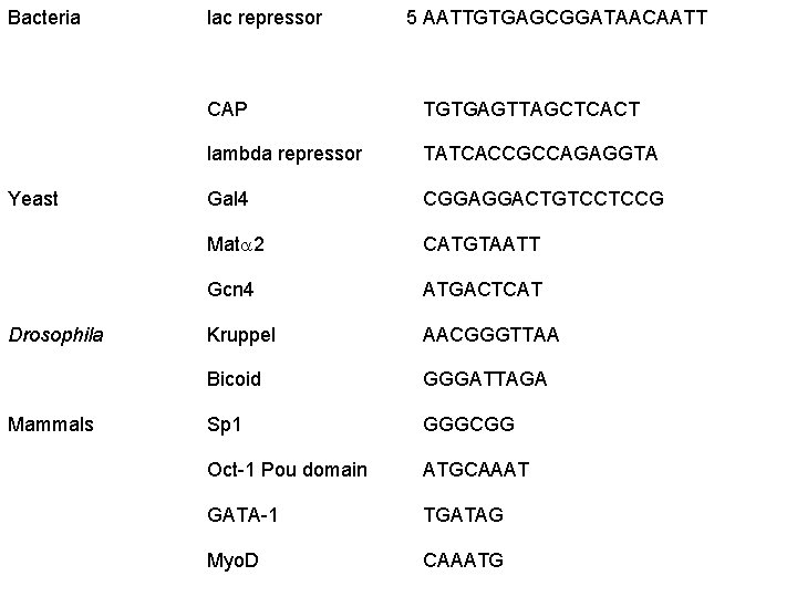 Bacteria Yeast Drosophila Mammals lac repressor 5 AATTGTGAGCGGATAACAATT CAP TGTGAGTTAGCTCACT lambda repressor TATCACCGCCAGAGGTA Gal