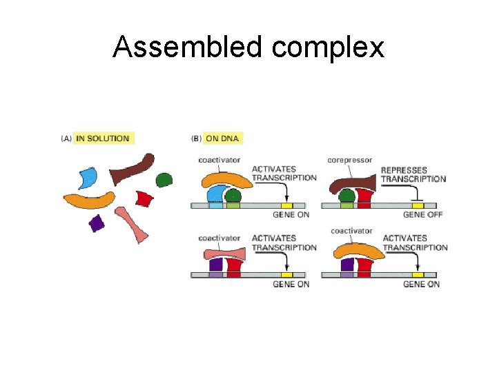 Assembled complex 