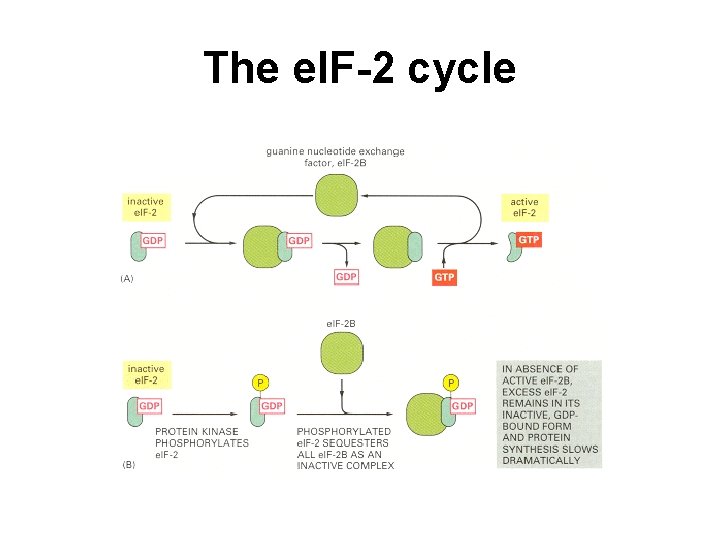 The el. F-2 cycle 