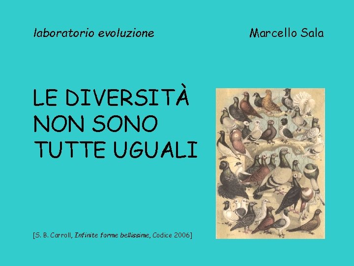 laboratorio evoluzione LE DIVERSITÀ NON SONO TUTTE UGUALI [S. B. Carroll, Infinite forme bellissime,