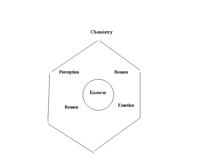 Chemistry Perception Reason Knower Reason Emotion 