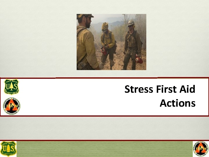 Stress First Aid Actions 