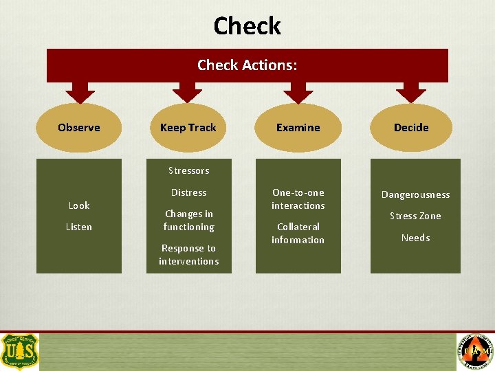 Check Actions: Observe Keep Track Examine Decide Stressors Look Listen Distress Changes in functioning