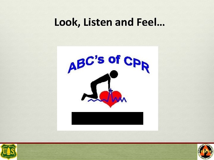 Look, Listen and Feel… 