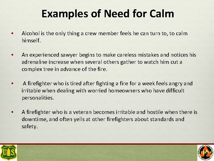 Examples of Need for Calm § Alcohol is the only thing a crew member