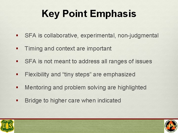 Key Point Emphasis § SFA is collaborative, experimental, non-judgmental § Timing and context are