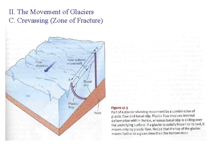 II. The Movement of Glaciers C. Crevassing (Zone of Fracture) 