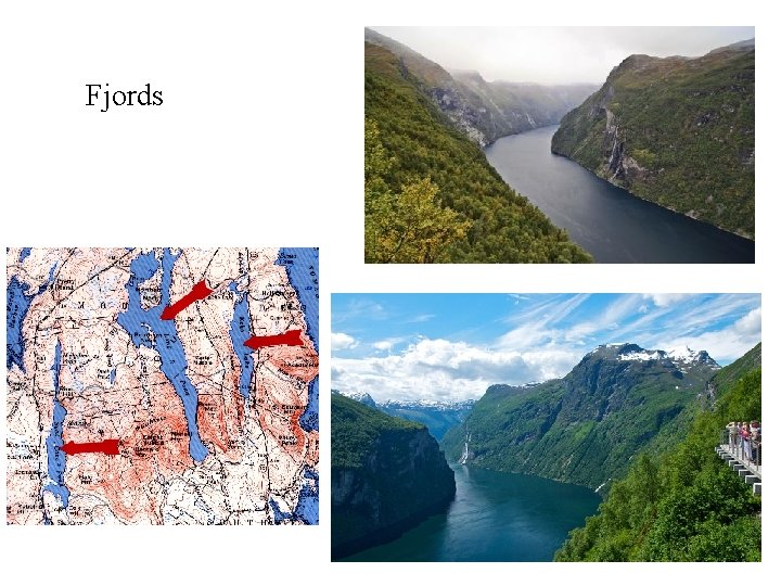 Fjords 
