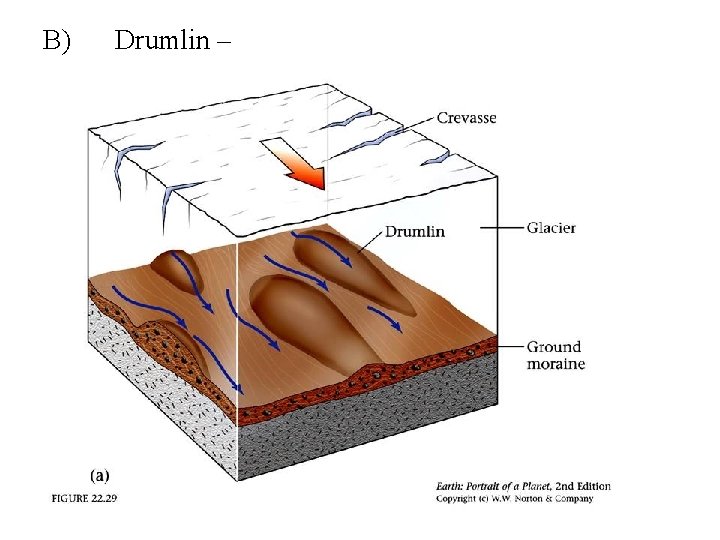B) Drumlin – 