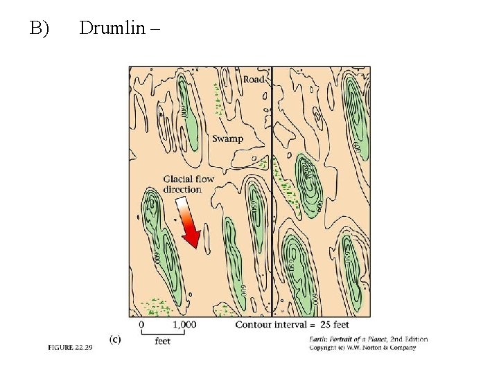 B) Drumlin – 