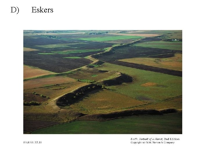 D) Eskers 