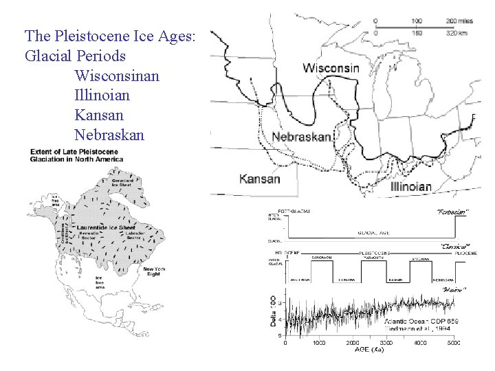 The Pleistocene Ice Ages: Glacial Periods Wisconsinan Illinoian Kansan Nebraskan 