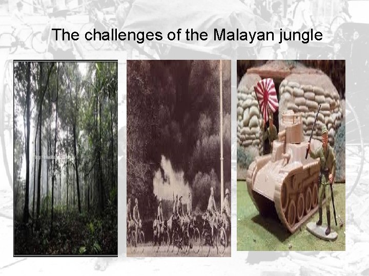 The challenges of the Malayan jungle 