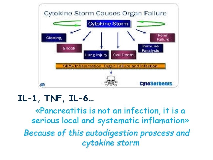 IL-1, TNF, IL-6… «Pancreatitis is not an infection, it is a serious local and