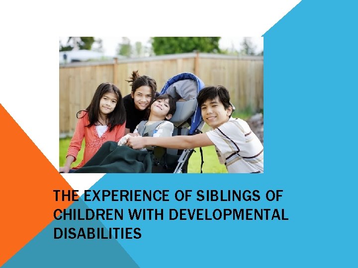 THE EXPERIENCE OF SIBLINGS OF CHILDREN WITH DEVELOPMENTAL DISABILITIES 