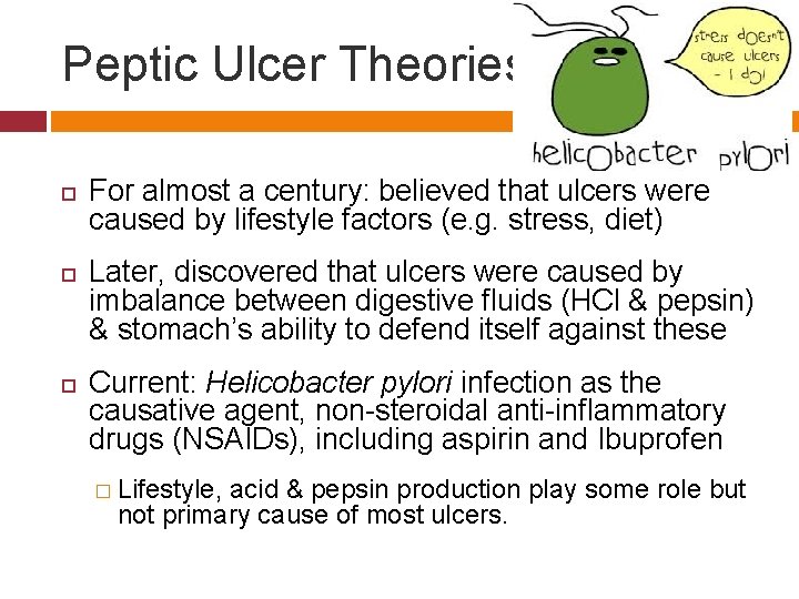 Peptic Ulcer Theories For almost a century: believed that ulcers were caused by lifestyle