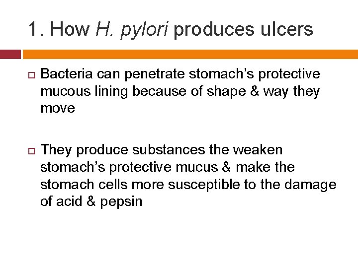 1. How H. pylori produces ulcers Bacteria can penetrate stomach’s protective mucous lining because