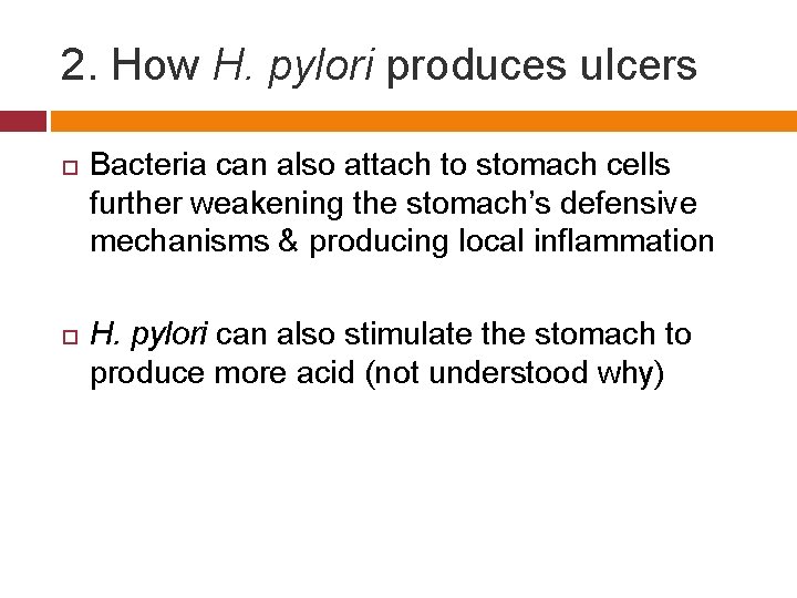 2. How H. pylori produces ulcers Bacteria can also attach to stomach cells further