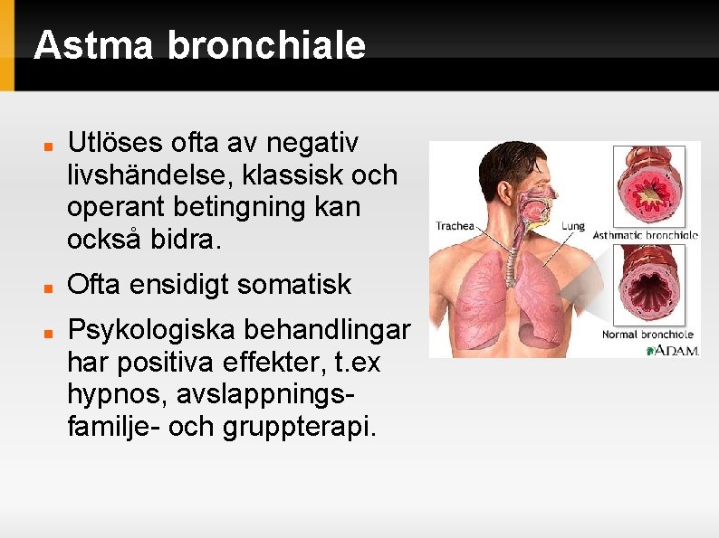 Astma bronchiale Utlöses ofta av negativ livshändelse, klassisk och operant betingning kan också bidra. Astma bronchiale Utlöses ofta av negativ livshändelse, klassisk och operant betingning kan också bidra.