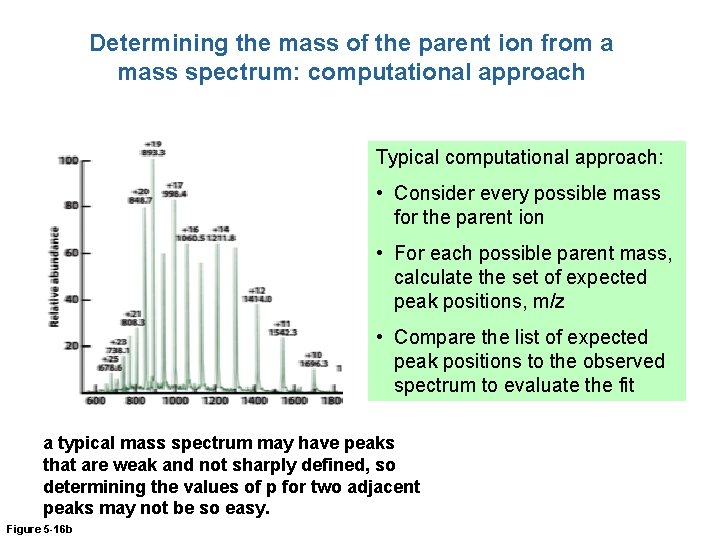 Determining the mass of the parent ion from a mass spectrum: computational approach Typical
