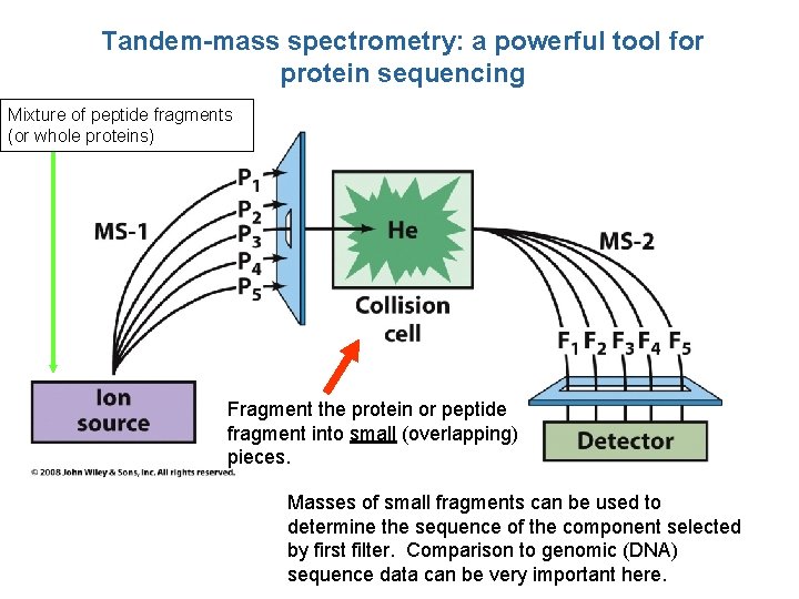 Tandem-mass spectrometry: a powerful tool for protein sequencing Mixture of peptide fragments (or whole