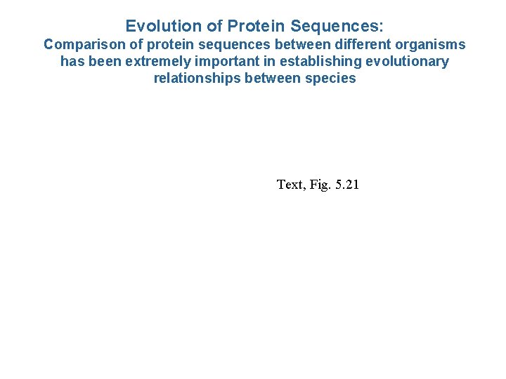 Evolution of Protein Sequences: Comparison of protein sequences between different organisms has been extremely