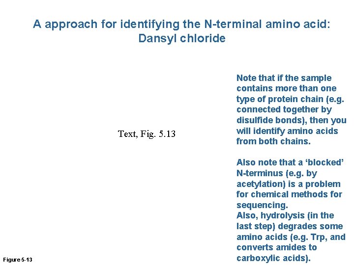 A approach for identifying the N-terminal amino acid: Dansyl chloride Text, Fig. 5. 13