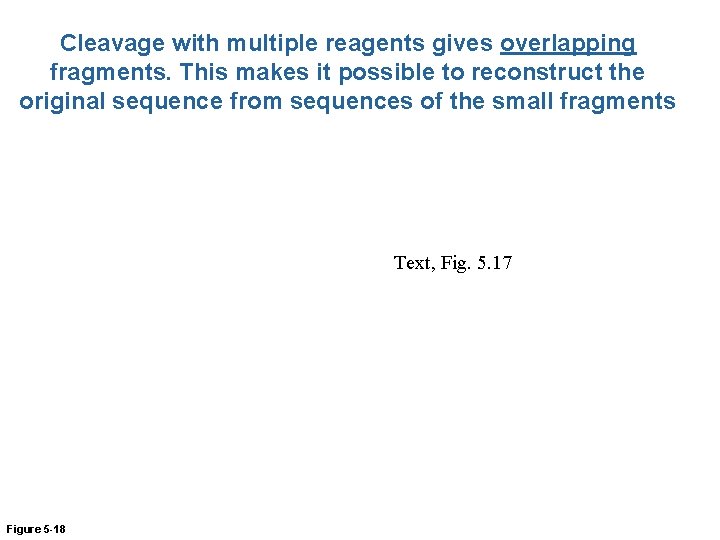 Cleavage with multiple reagents gives overlapping fragments. This makes it possible to reconstruct the