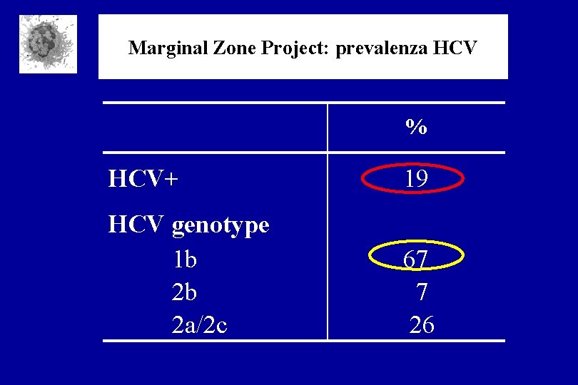 Marginal Zone Project: prevalenza HCV % HCV+ 19 HCV genotype 1 b 2 a/2