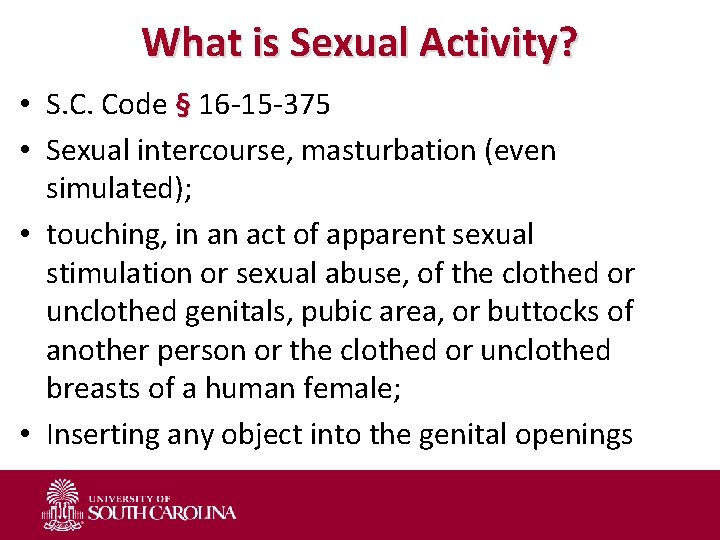 What is Sexual Activity? • S. C. Code § 16 -15 -375 • Sexual