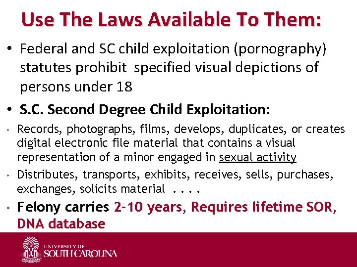 Use The Laws Available To Them: • Federal and SC child exploitation (pornography) statutes