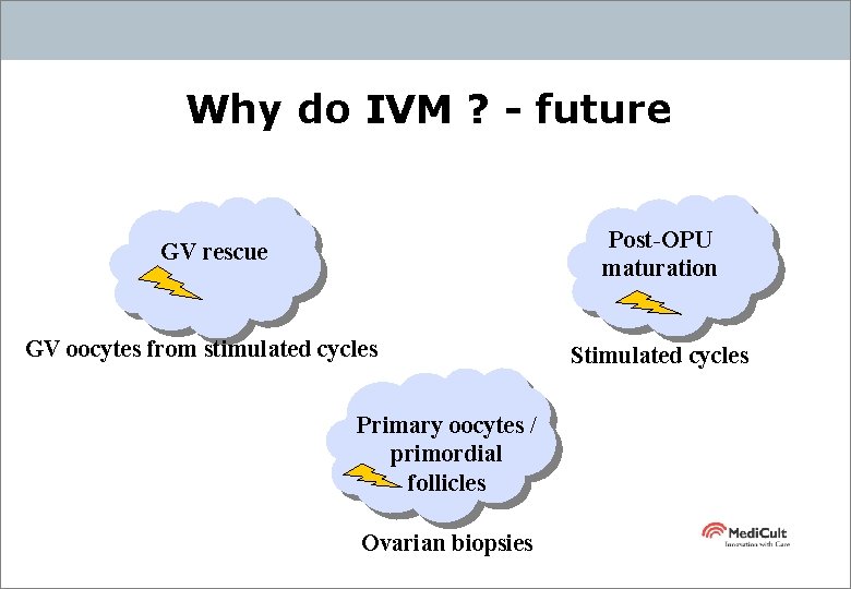 Why do IVM ? - future Post-OPU maturation GV rescue GV oocytes from stimulated