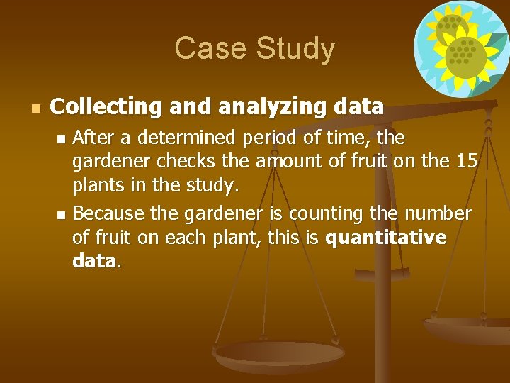 Case Study n Collecting and analyzing data After a determined period of time, the