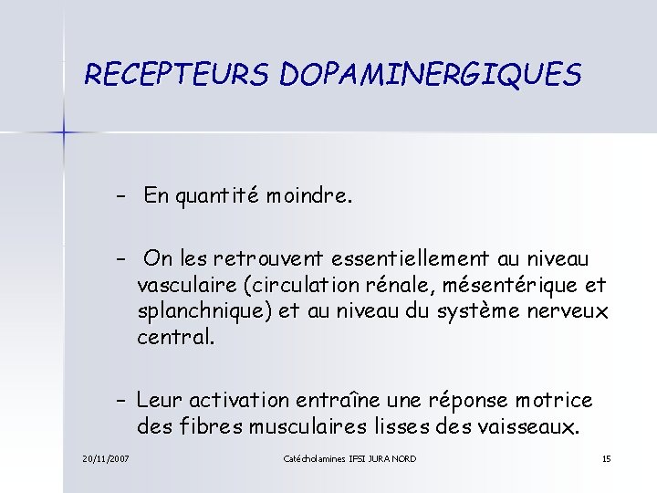 RECEPTEURS DOPAMINERGIQUES – En quantité moindre. – On les retrouvent essentiellement au niveau vasculaire