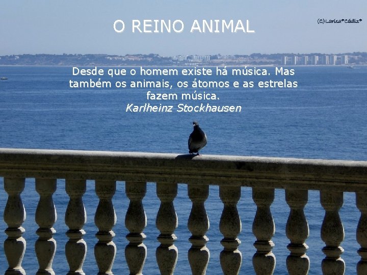 O REINO ANIMAL Desde que o homem existe há música. Mas também os animais,