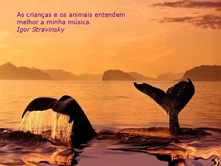 As crianças e os animais entendem melhor a minha música. Igor Stravinsky 