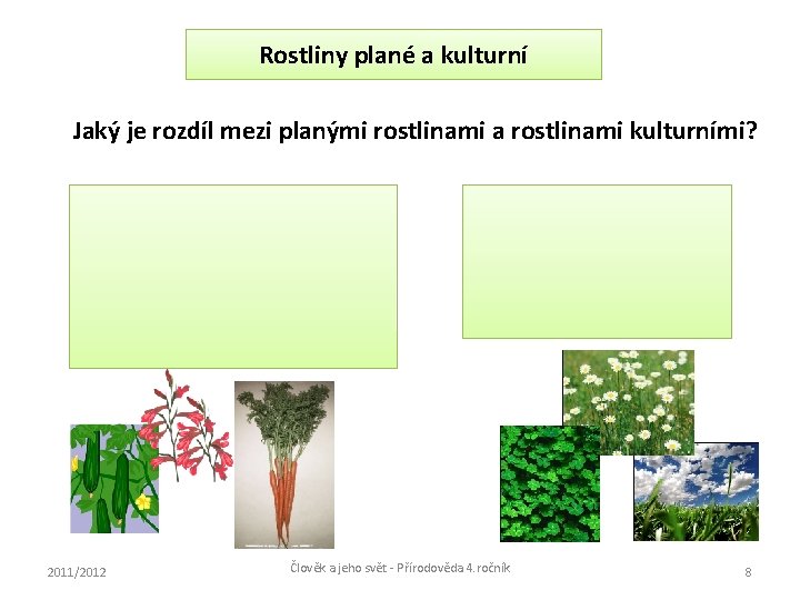 Rostliny plané a kulturní Jaký je rozdíl mezi planými rostlinami a rostlinami kulturními? Rostliny