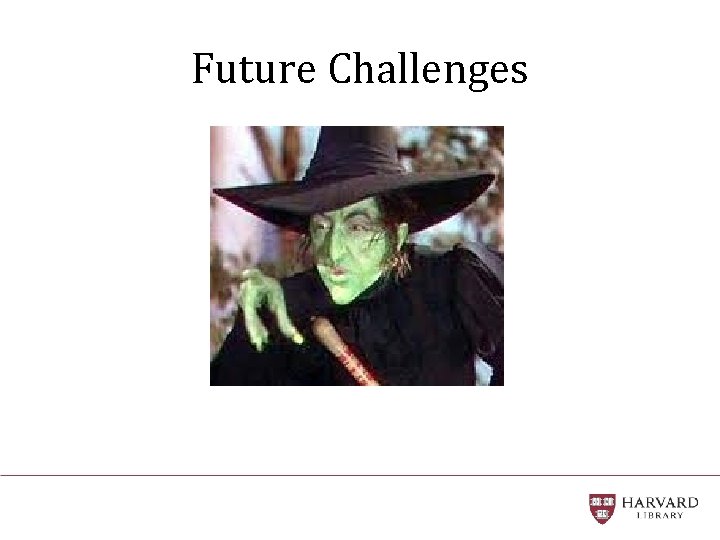 Future Challenges 