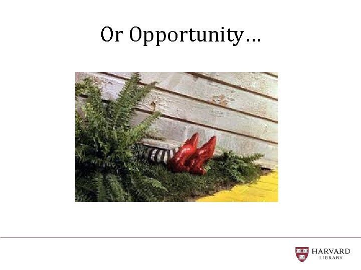 Or Opportunity… 