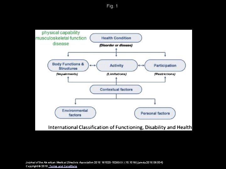 Fig. 1 Journal of the American Medical Directors Association 2015 161020 -1026 DOI: (10.